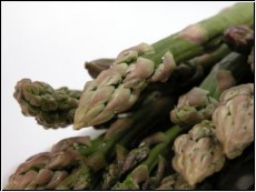 500g gr�ner Spargel aus Deutschland 1kg=20Euro Klasse 1