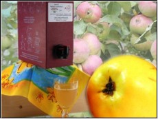 Saftbox Quitten-Apfelsaft 5 Liter (1l= 3,60 Euro)