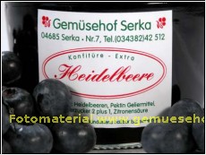 Fruchtaufstrich -Heidelbeer- (1kg=8,00 Euro)