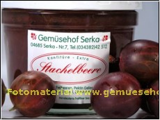 Fruchtaufstrich -Stachelbeer- (1kg=8,00 Euro)