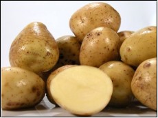 25 kg Kartoffeln  festk.<br> eigene Ernte (1kg=0,80Euro)