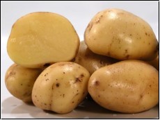 1kg mehligkochend Kartoffeln; Adretta; neue Ernte