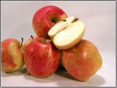 1kg Aepfel (Santana) neue Ernte