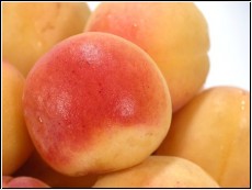 500g Aprikosen  (1kg= 8,00 Euro)