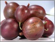 500g rote Stachelbeeren (1kg=13 Euro)
