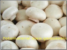 250g Champignons weiss (1kg=4,00Euro)