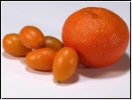 Kumquat 100 g