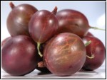 500g rote Stachelbeeren (1kg=13 Euro)